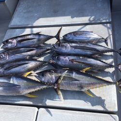 渡船屋たにぐち 釣果