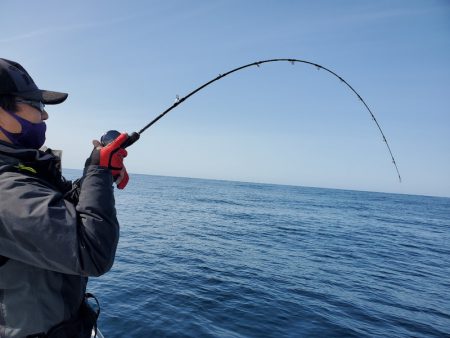 シーライオン 釣果