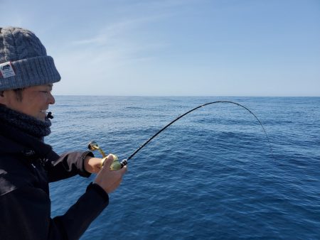 シーライオン 釣果