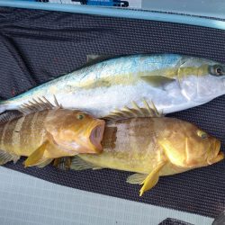 アマテラス 釣果