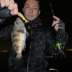 Chase(チェイス) 釣果