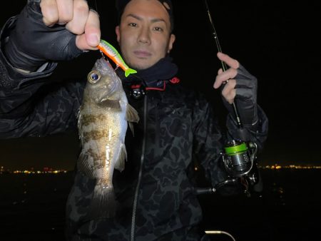 Chase(チェイス) 釣果