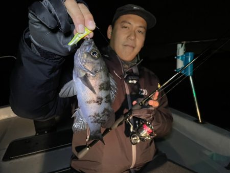 Chase(チェイス) 釣果