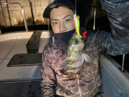 Chase(チェイス) 釣果