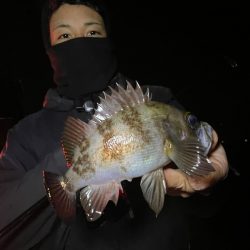 Chase(チェイス) 釣果