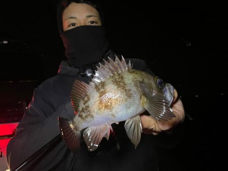 Chase(チェイス) 釣果