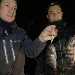 Chase(チェイス) 釣果