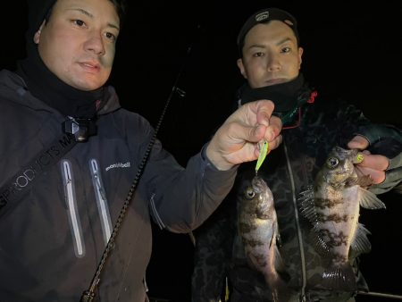 Chase(チェイス) 釣果