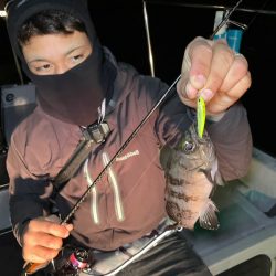 Chase(チェイス) 釣果