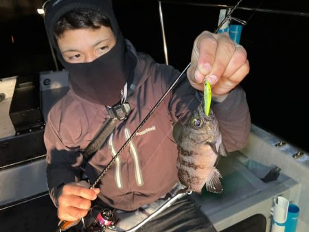 Chase(チェイス) 釣果