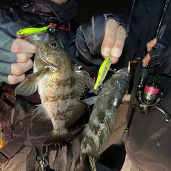 Chase(チェイス) 釣果