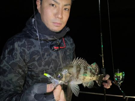 Chase(チェイス) 釣果