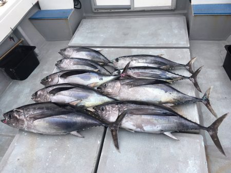 渡船屋たにぐち 釣果