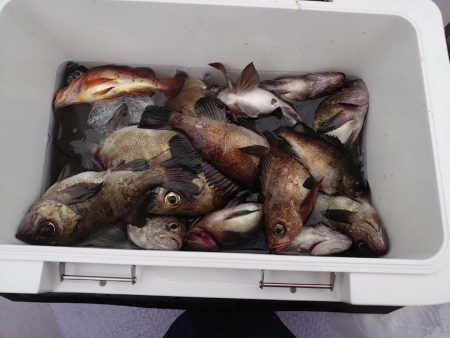 海龍丸（石川） 釣果