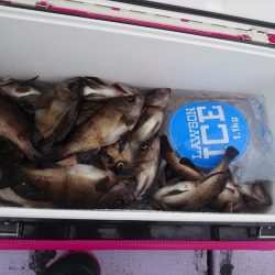 海龍丸（石川） 釣果