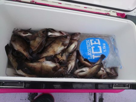 海龍丸（石川） 釣果