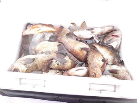 海龍丸（石川） 釣果