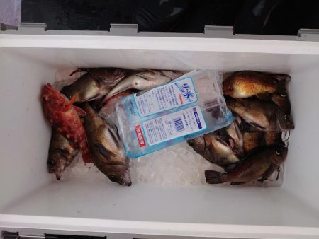 海龍丸（石川） 釣果