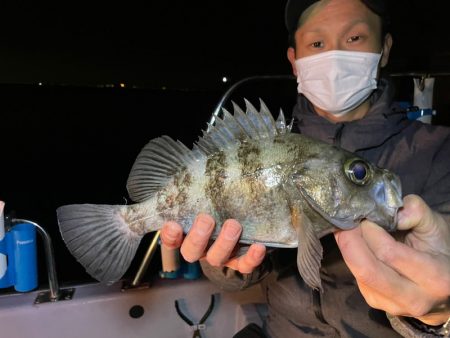 Chase（チェイス） 釣果