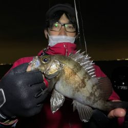 Chase(チェイス) 釣果