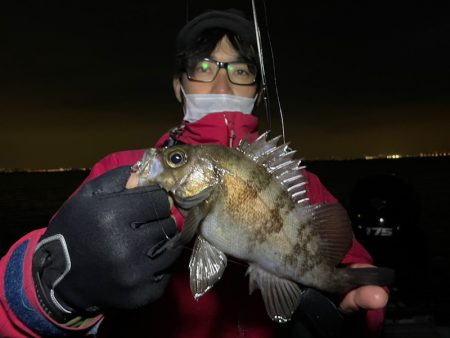 Chase(チェイス) 釣果