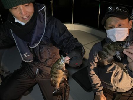 Chase(チェイス) 釣果