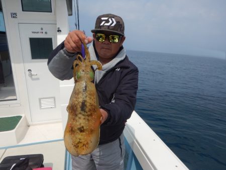 きずなまりん 釣果