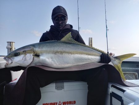 アマテラス 釣果