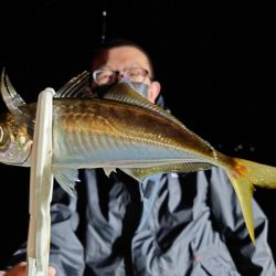 シースナイパー海龍 釣果