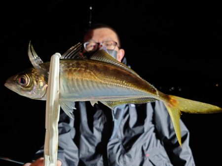 シースナイパー海龍 釣果
