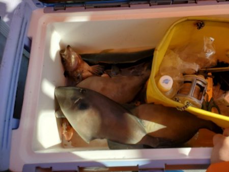 海龍丸（石川） 釣果