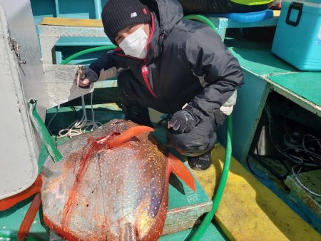 丸万釣船 釣果
