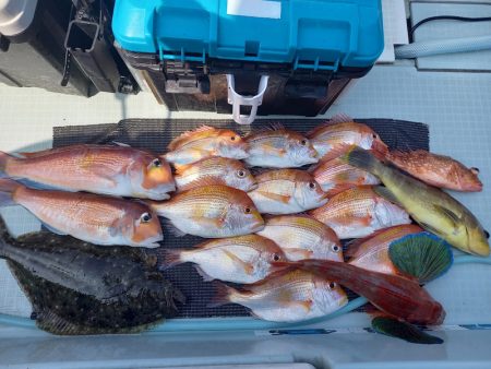 アマテラス 釣果