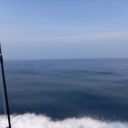 第二龍勢丸 釣果