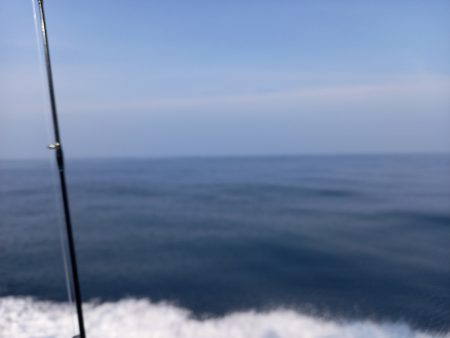 第二龍勢丸 釣果