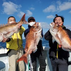 シーライオン 釣果