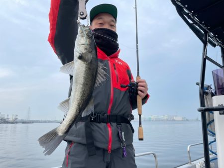 Chase(チェイス) 釣果