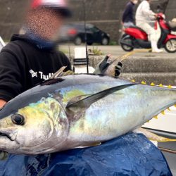 渡船屋たにぐち 釣果