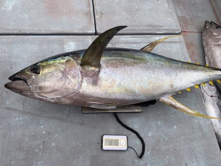 渡船屋たにぐち 釣果