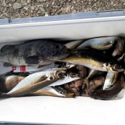 海龍丸（石川） 釣果