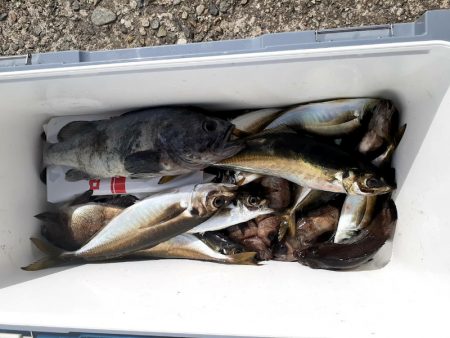 海龍丸（石川） 釣果