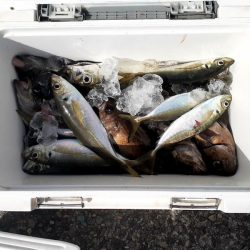 海龍丸（石川） 釣果