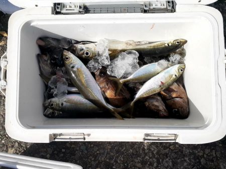 海龍丸（石川） 釣果