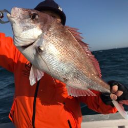 ランスルー 釣果