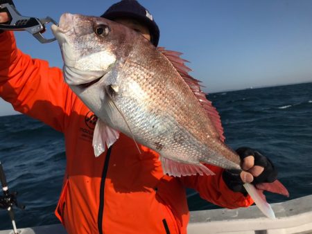 ランスルー 釣果