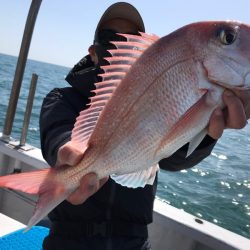 ランスルー 釣果