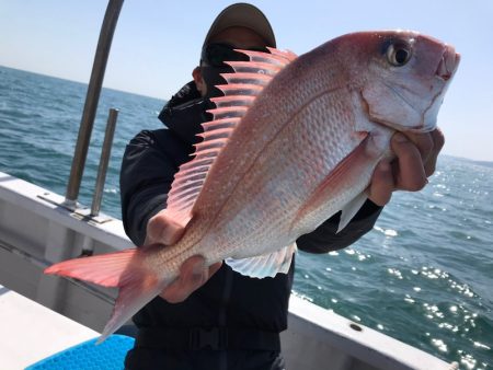 ランスルー 釣果