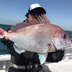 ランスルー 釣果