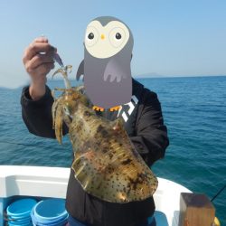 きずなまりん 釣果