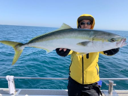 SeaRide(シーライド) 釣果